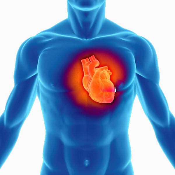 Poly-Cell Benefits for a Healthy Heart